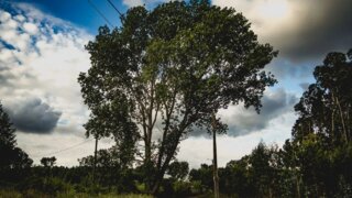 Land for sale in Oliveira do Bairro, Portugal — €12,840