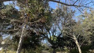 Land for sale in Barcelos, Portugal — €70,000