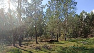 Land for sale in Valença, Portugal — €111,111,111