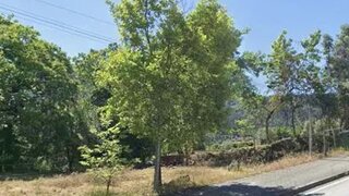 Land for sale in Ribeira de Pena, Portugal — €160,000