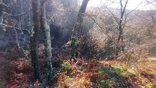 Terreno de 7300 m² em Viana do Castelo