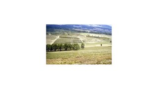 Land for sale in Sabrosa, Portugal — €300,000