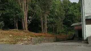 Land for sale in Ovar, Portugal — €55,000