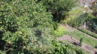 Land for sale in Paredes, Portugal — €43,000