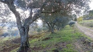Terreno em Vinhais