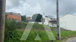 Land for sale in Anadia, Portugal — €48,000