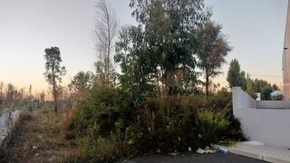 Land for sale in Albergaria-a-Velha, Portugal — €175,000