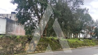 Terreno em Águeda · 3860 m² · 45 000 €