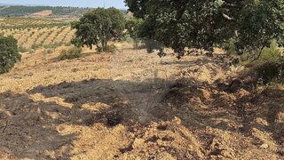 Land for sale in Mirandela, Portugal — €25,000