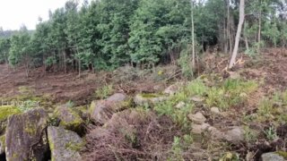 Land for sale in Cabeceiras de Basto, Portugal — €196,000