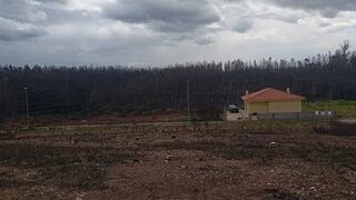 Land for sale in Águeda, Portugal — €35,000