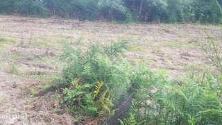 Land for sale in Santo Tirso, Portugal — €150,000