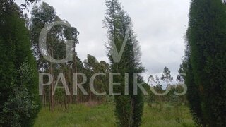 Land for sale in Oliveira do Bairro, Portugal — €45,000