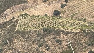 Land for sale in Torre de Moncorvo, Portugal — €50,000