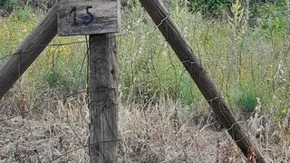 Land for sale in Freixo de Espada à Cinta, Portugal — €35,000