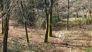Land for sale in Vieira do Minho, Portugal — €225,000
