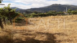 Land for sale in Monção, Portugal