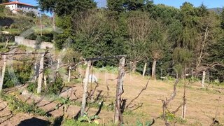 Land for sale in Marco de Canaveses, Portugal — €45,000