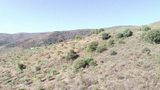 Land · 8,620 m² · €22,500