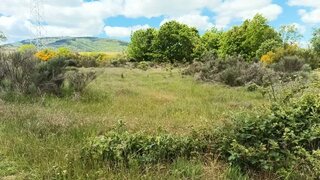 Terreno em Bragança