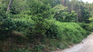 Terreno em Porto