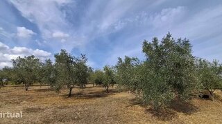 Land for sale in Alijó, Portugal — €125,000