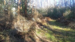 Land for sale in Marco de Canaveses, Portugal — €39,500