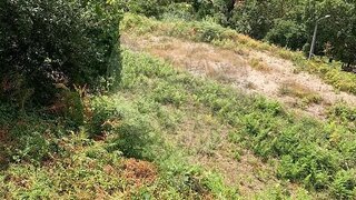Land for sale in Terras de Bouro, Portugal — €77,500