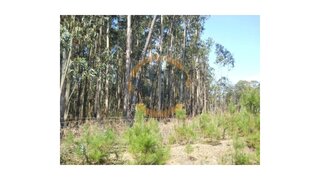 Land for sale in Ovar, Portugal — €20,000