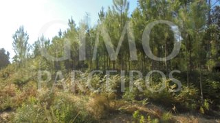 Land for sale in Oliveira do Bairro, Portugal — €12,000