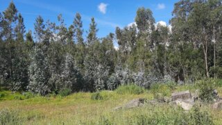 Land for sale in Penafiel, Portugal — €150,000