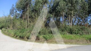 Land for sale in Oliveira do Bairro, Portugal — €55,000