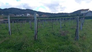Land for sale in Monção, Portugal — €7,500