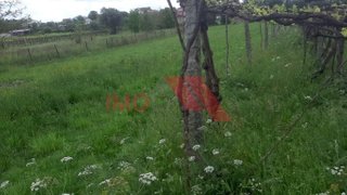 Terreno para venda em Ponte de Lima, Portugal — 14 000 €