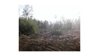 Land for sale in Santo Tirso, Portugal — €43,000