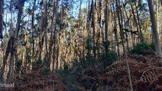 Terreno para venda em Vila Verde, Portugal — 13 000 €
