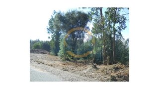 Land for sale in Oliveira de Azeméis, Portugal