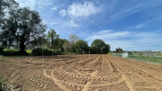 Terreno em Albergaria-a-Velha