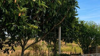 Terreno de 836 m² em Aveiro