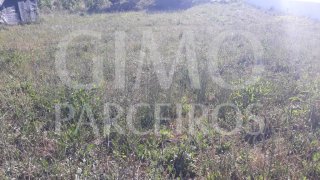 Land for sale in Anadia, Portugal — €35,000