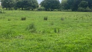 Land for sale in Santa Maria da Feira, Portugal — €60,000