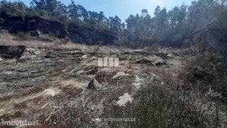 Land for sale in Ponte de Lima, Portugal
