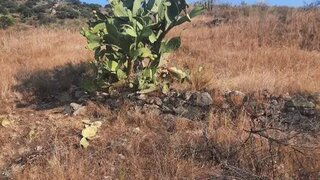 Land for sale in Torre de Moncorvo, Portugal — €17,000