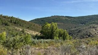 Land for sale in Torre de Moncorvo, Portugal — €20,000
