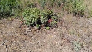 Land for sale in Oliveira do Bairro, Portugal — €25,000
