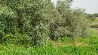 Land for sale in Torres Vedras, Portugal — €15,500