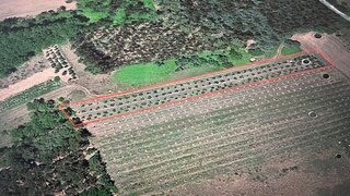 Terreno para venda em Cantanhede, Portugal — 5500 €