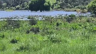 Land for sale in Alcácer do Sal, Portugal — €210,000