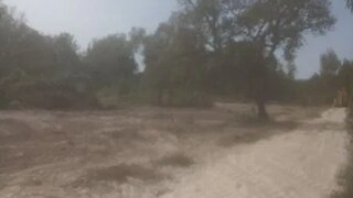 Land for sale in Palmela, Portugal — €50,000