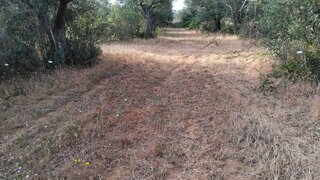 Terreno em Elvas